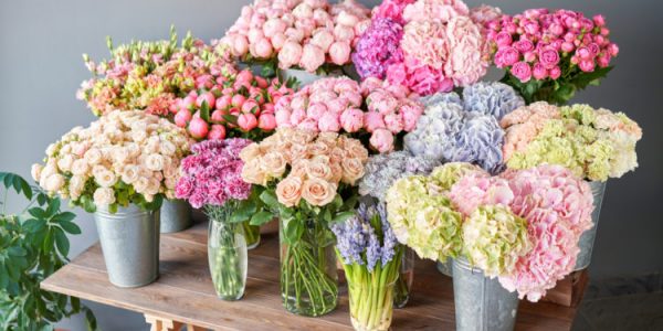 Many,Different,Colors,On,The,Stand,Or,Wooden,Table,In